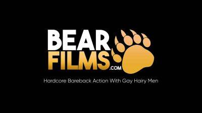 BEARFILMS Bears Trent Brown And Max Sharp Anal Breed Hard - drtuber.com